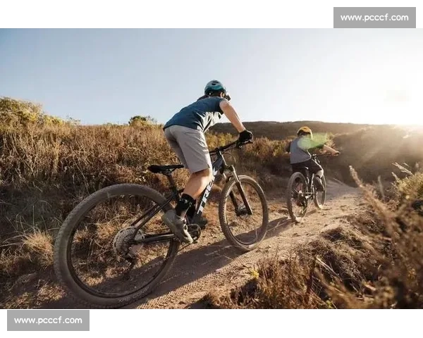 体育赛事分析基本思路与方法探讨:从数据解读到策略应用的全面指南 体育赛事分析基本思路与方法探讨:从数据解读到策略应用的全面指南